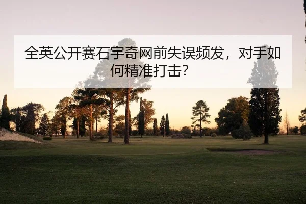 全英公开赛石宇奇网前失误频发，对手如何精准打击？